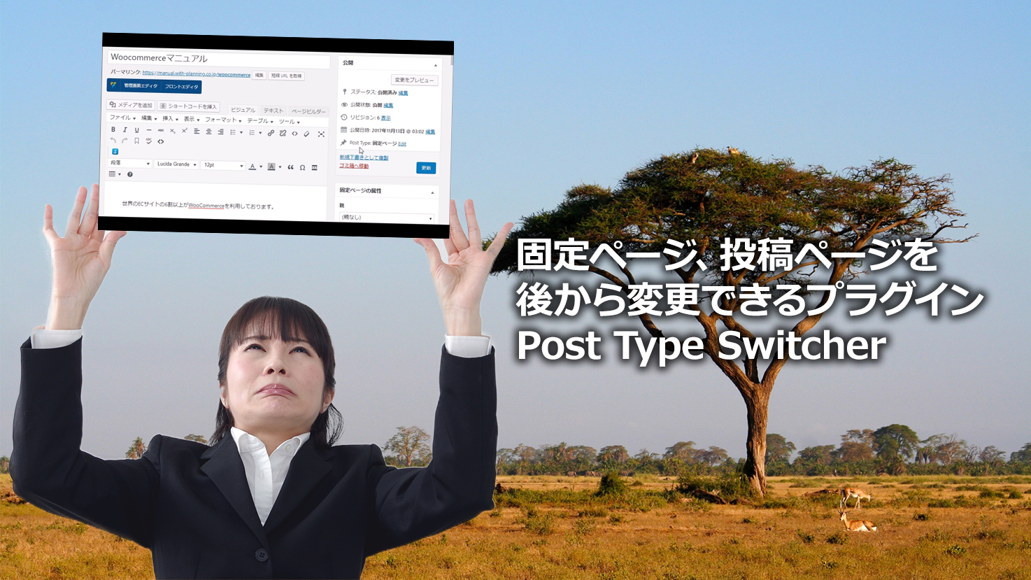 wordpress post type switcher